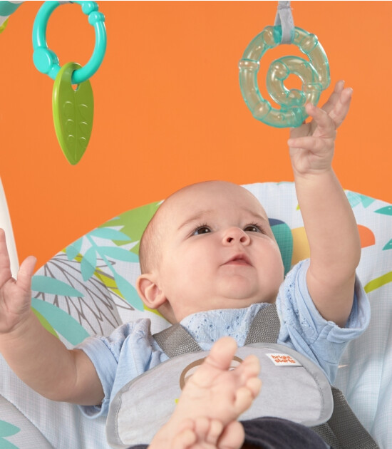 Bright Starts Taşınabilir Salıncak // Yağmur Ormanı