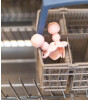 Bumkins Chewtensils İlk Kaşık &Ccedil;atal Setim // Pink