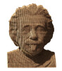 Cartonic 3D Puzzle // Albert