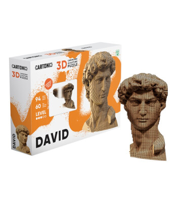 Cartonic 3D Puzzle // David