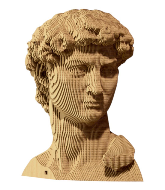 Cartonic 3D Puzzle // David