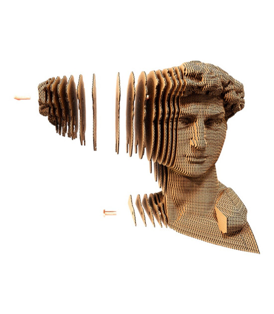 Cartonic 3D Puzzle // David