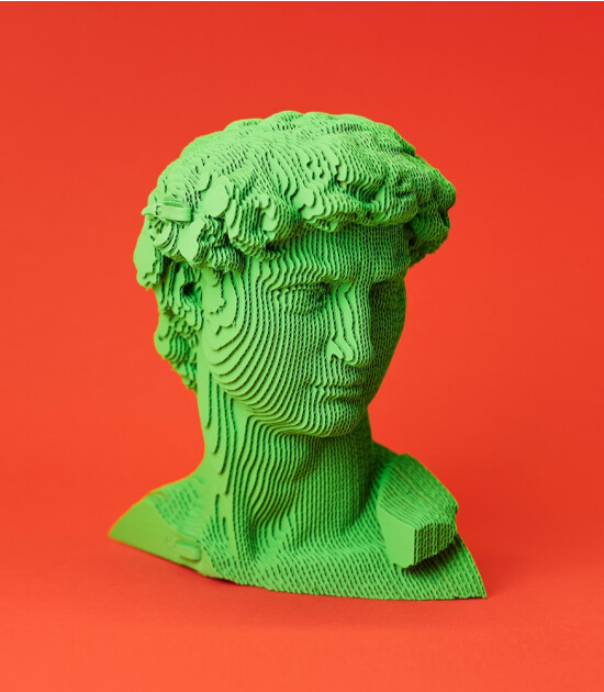 Cartonic 3D Puzzle // David