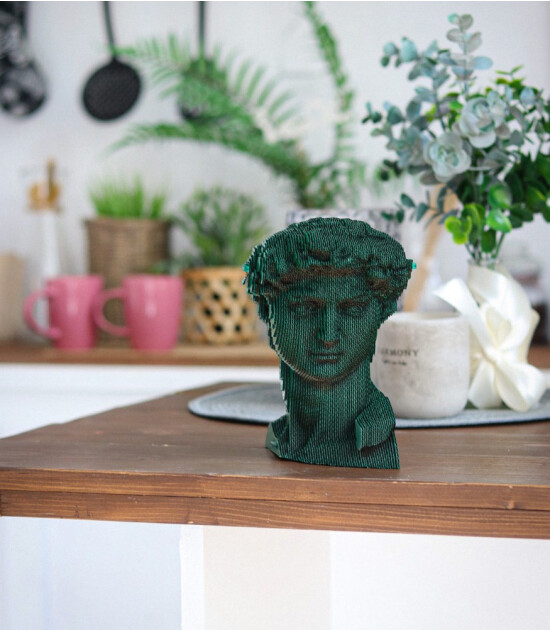 Cartonic 3D Puzzle // David