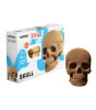 Cartonic 3D Puzzle // Skull