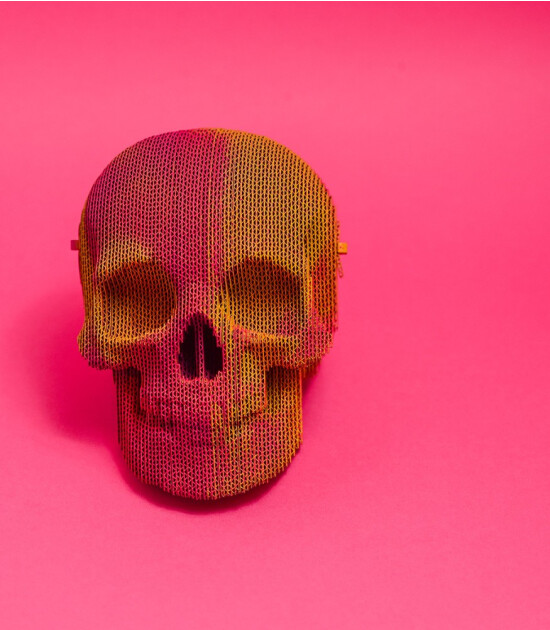 Cartonic 3D Puzzle // Skull
