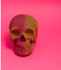 Cartonic 3D Puzzle // Skull