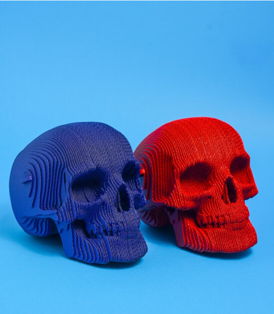 Cartonic 3D Puzzle // Skull