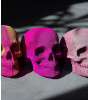Cartonic 3D Puzzle // Skull