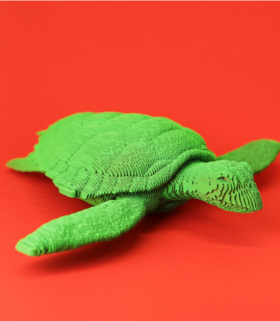 Cartonic 3D Puzzle // Turtle