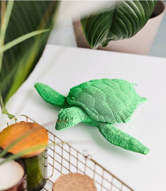 Cartonic 3D Puzzle // Turtle