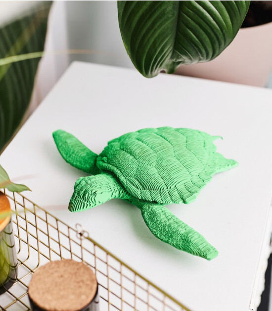 Cartonic 3D Puzzle // Turtle