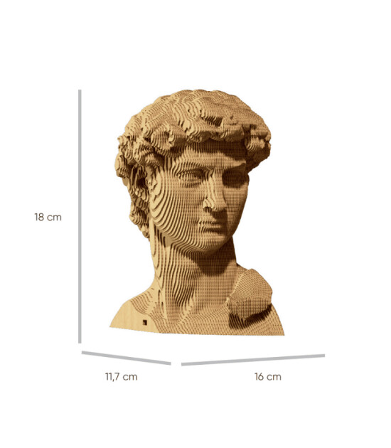 Cartonic 3D Puzzle // David