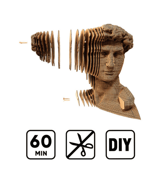 Cartonic 3D Puzzle // David