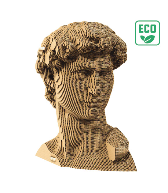 Cartonic 3D Puzzle // David