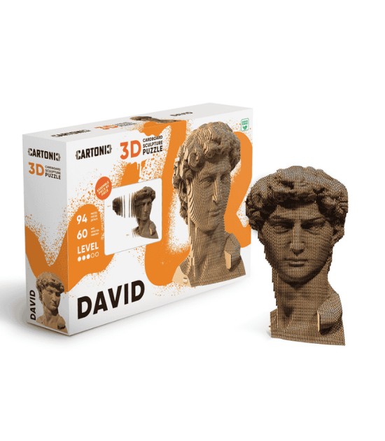 Cartonic 3D Puzzle // David