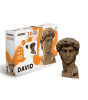 Cartonic 3D Puzzle // David