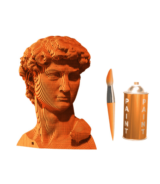 Cartonic 3D Puzzle // David