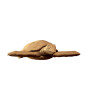 Cartonic 3D Puzzle // Turtle