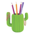 Masaüstü Organize & Düzenleme