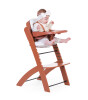 Childhome Evosit Mama Sandalyesi // Rust