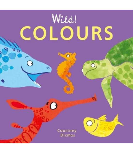 Child's Play International Wild Colours