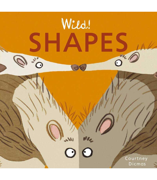 Child's Play Shapes