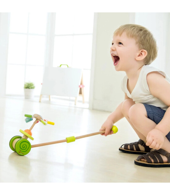 Classic World Ahşap İttirme G&ouml;kkuşağı Pervane