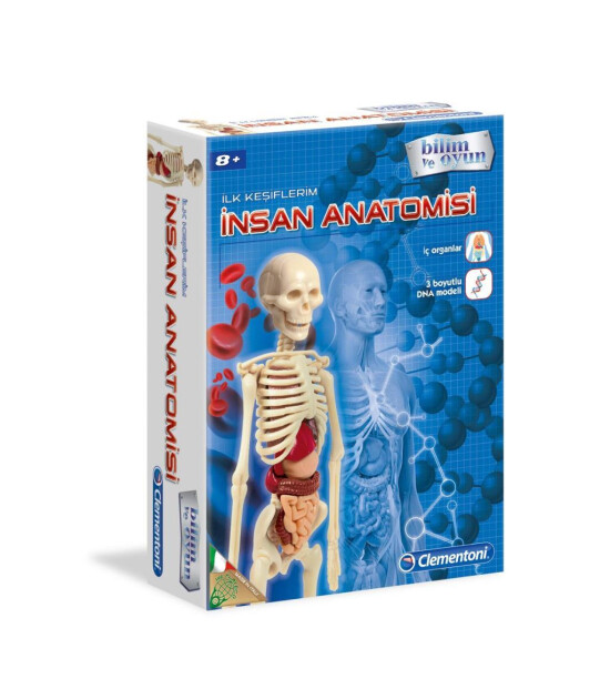 Clementoni İlk Keşiflerim - İnsan Anatomisi - kb