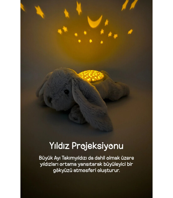 Cloud b Dream Buddies Projekt&ouml;rl&uuml; Pel&uuml;ş Gece Lambası // Benny Bunny