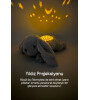 Cloud b Dream Buddies Projekt&ouml;rl&uuml; Pel&uuml;ş Gece Lambası // Benny Bunny