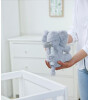Cloud b On The Go Melodili Pel&uuml;ş Uyku Arkadaşı // Elliot Elephant