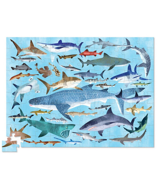 Crocodile Creek Puzzle // Thirty Six Sharks (100 Parça)