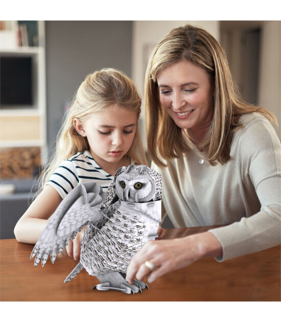 Cubic Fun 3D Puzzle National Geographic // Kar Baykuşu (62 Adet)