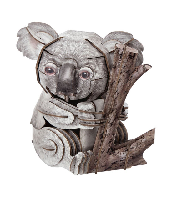 Cubic Fun 3D Puzzle İnteraktif National Geographic // Koala