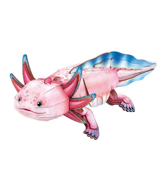 Cubic Fun 3D Puzzle İnteraktif National Geographic // Axolotl
