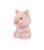 Dhink Zodiac Gece Lambası // Baby Pig
