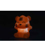 Dhink Zodiac Gece Lambası // Baby Tiger