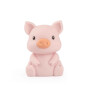 Dhink Zodiac Gece Lambası // Baby Pig