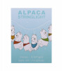 Dhink Gece Lamba // Alpacas String