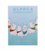 Dhink Gece Lamba // Alpacas String