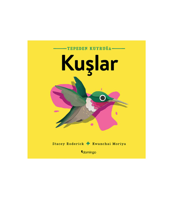 Tepeden Kuyruğa - Kuşlar