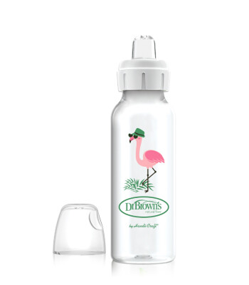 Dr. Brown's Dar Ağız PP + Sippy Spout Biberon Bardak (250 ml) // Flamingo