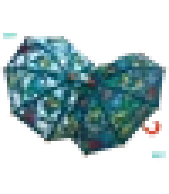 Floss & Rock Renk Değiştiren Şemsiye // Dino