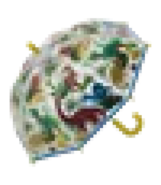 Floss & Rock Renk Değiştiren Şemsiye // Dino Transparent