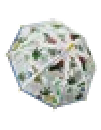 Floss & Rock Renk Değiştiren Şemsiye // Dino Transparent