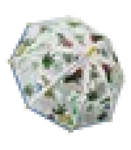 Floss & Rock Renk Değiştiren Şemsiye // Dino Transparent