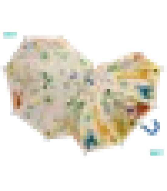 Floss & Rock Renk Değiştiren Şemsiye // Jungle