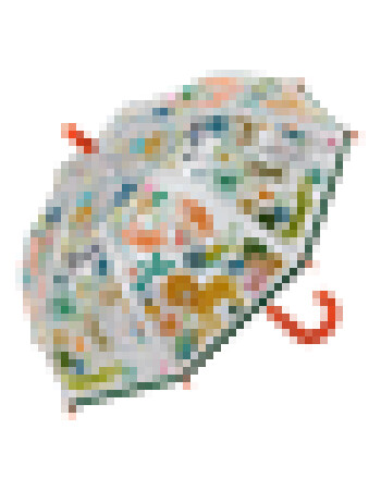 Floss & Rock Renk Değiştiren Şemsiye // Jungle Transparent