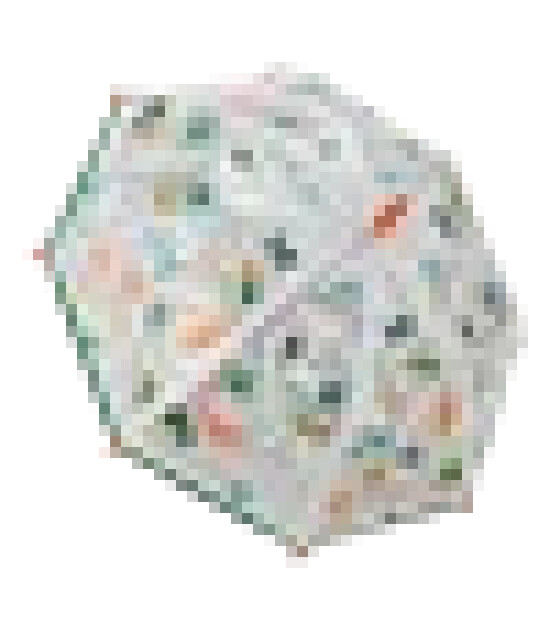 Floss & Rock Renk Değiştiren Şemsiye // Jungle Transparent